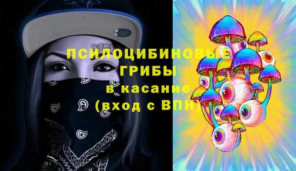 мдпв Армянск