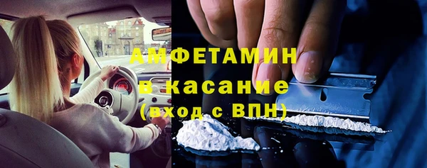 трава Аркадак